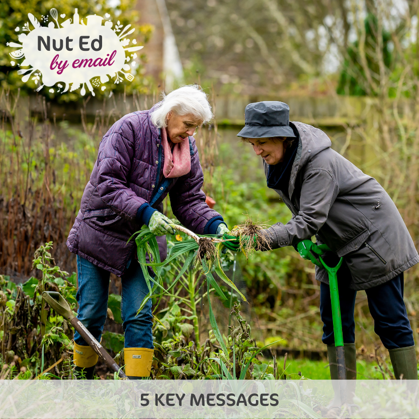 NutEd 3.2 – Types of Physical Activity