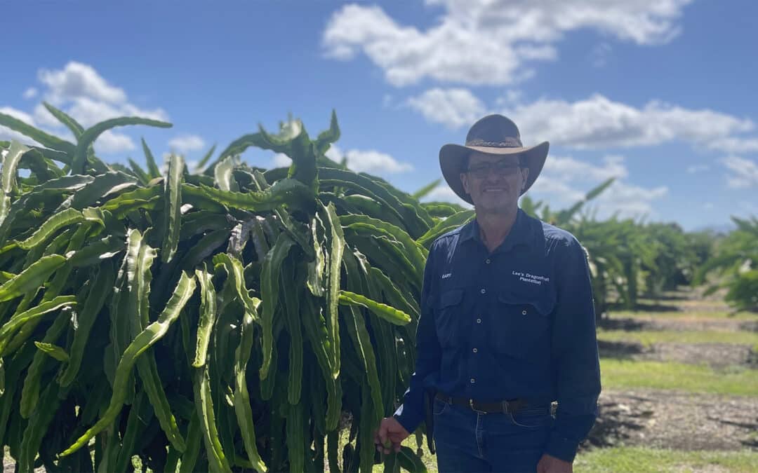 Meet Sue and Gary Lee – Lee’s Dragonfruit Plantation