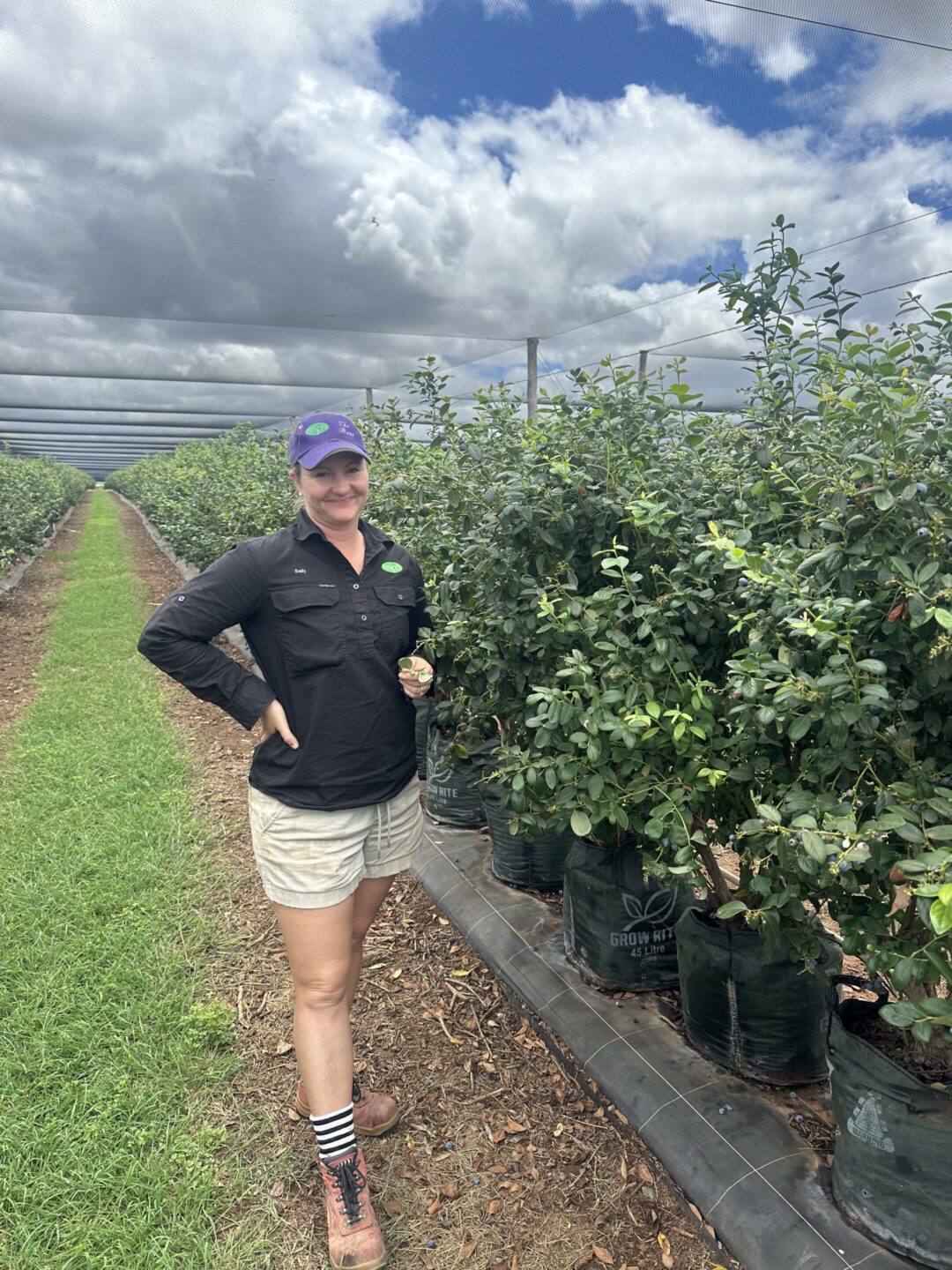 Meet Sally Jolly – Smart Berries