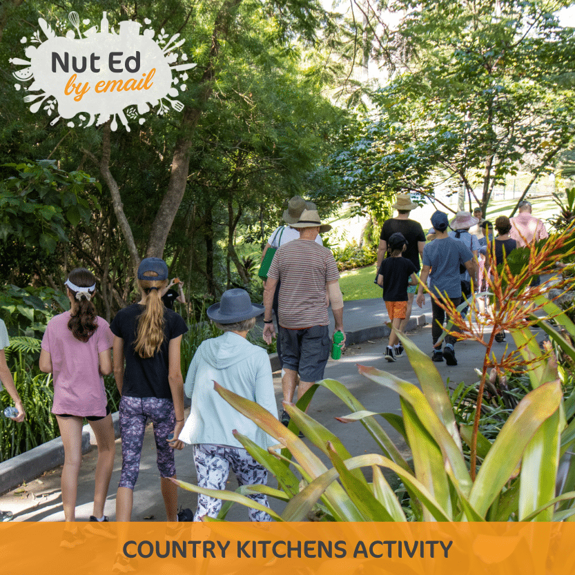 Nut Ed by email Coming Soon Poster